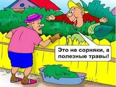 Шутливые изображения с дачниками