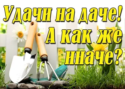 Курьезные дачники - непредсказуемые моменты