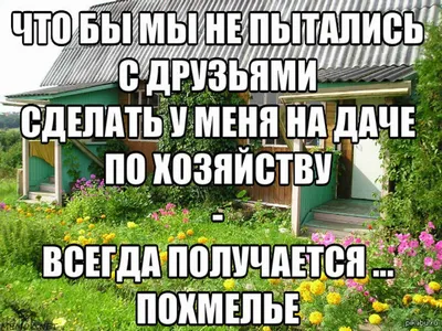 Улыбчивые сцены с дачниками