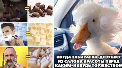 Картинки смешных девушек: скачать в формате JPG