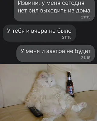 Новые фото смешных диалогов, которые вас порадуют!