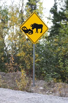 Смешные дорожные знаки: арт-фотографии