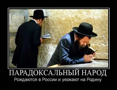 Изображения смешных еврейских картинок в Full HD
