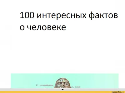 Фото смешных фактов: Уникальные и забавные моменты