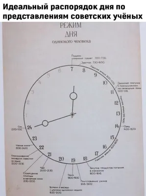 Скачать смешные факты бесплатно в хорошем качестве