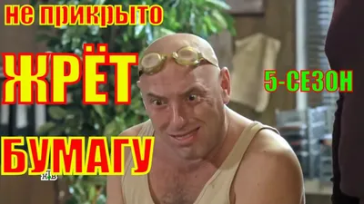 Смешные гнездилова: Фотография в формате WebP