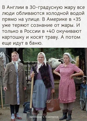 Поднимите настроение смешными голубями на фотографиях