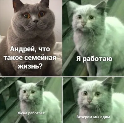 Фото, которые с легкостью рассмешат каждого