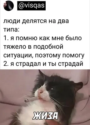 Забавные моменты на фото