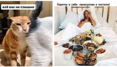 Фото, которые заставят вас улыбнуться