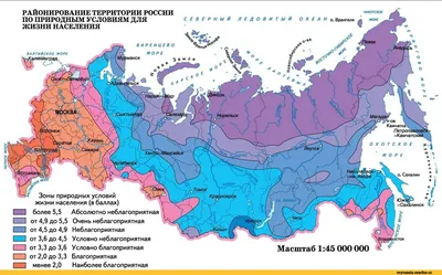 Фото, чтобы порадоваться: смешные снимки России