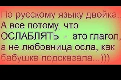 Фото с смешными изречениями: выберите формат и размер для загрузки