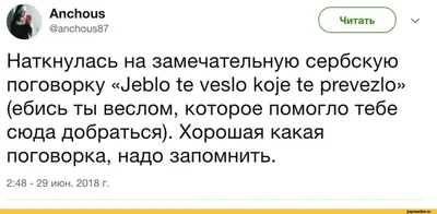 Фото смешных изречений: поднимут настроение в любой момент