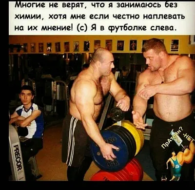 Смешные качки в формате JPG с архивом фонов