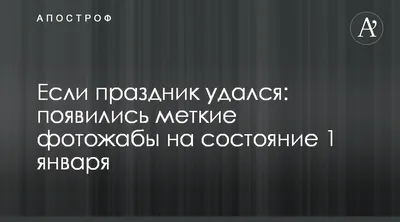 Смешные фото 1 января: бесплатно и в хорошем качестве