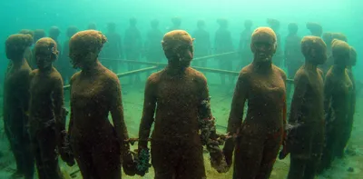 Невероятные приключения под водой: смешные фотографии аквалангистов