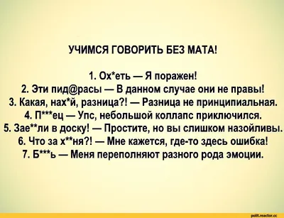 Улыбнитесь смешным картинкам: гарантированно поднимут настроение!