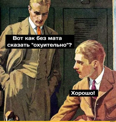 Смешные изображения для скачивания в JPG, PNG, WebP