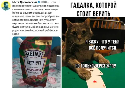 Смешные изображения для развлечения