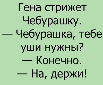 Фото, которые заставят вас улыбнуться и посмеяться