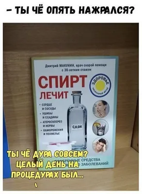 Веселые снимки: поднимут настроение в любой момент!