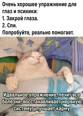 Юмор и смех: фотографии, которые вызовут улыбку!