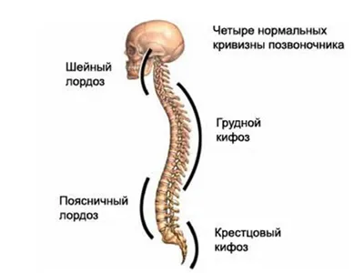 Фотографии, которые смешат и одновременно болят голову