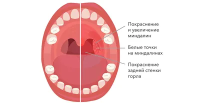 Смешные фотки 2024: скачать в HD