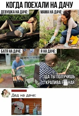 Улыбнитесь смешным картинкам