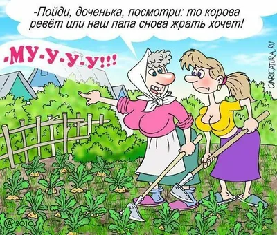 Смешные картинки дача: смешные фото в формате WebP