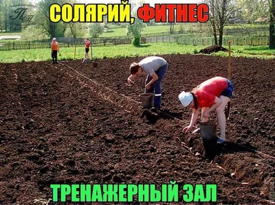 Смешные картинки дача фотографии