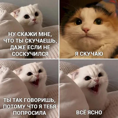 Смешные картинки, которые заставят вас улыбнуться