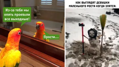 Не пропустите смешные картинки девушек!