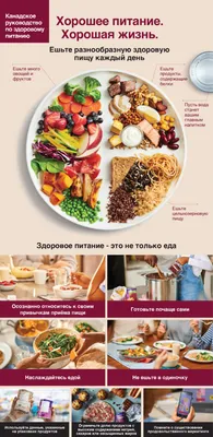 Смешные картинки: диета с улыбкой и пониманием