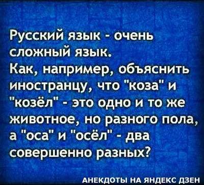 Картинки смешные для лд: скачать бесплатно в хорошем качестве