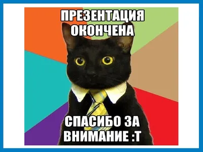 1) Смешные картинки для презентации: выберите размер изображения и скачайте в форматах JPG, PNG, WebP