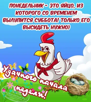 Смешные картинки для позитивного понедельника