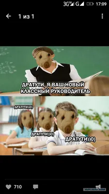 Скачать смешные картинки бесплатно