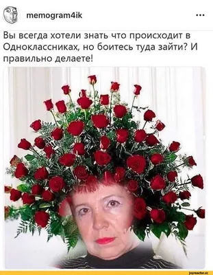 Смешные фото для скачивания: выбери формат - JPG, PNG, WebP