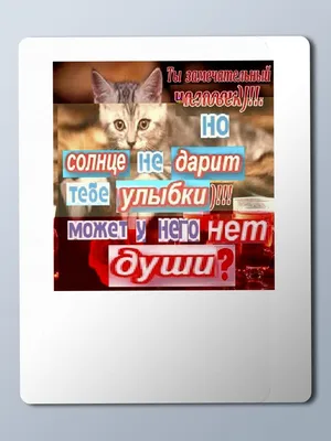 Смешные картинки из одноклассников: скачать бесплатно в JPG, PNG, WebP