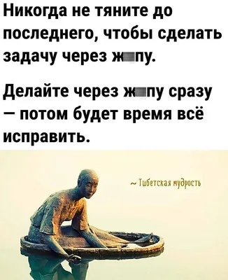 Новые смешные фото: скачать бесплатно в формате JPG, PNG, WebP