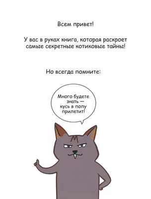 Новые смешные фото: скачать бесплатно в формате JPG, PNG, WebP