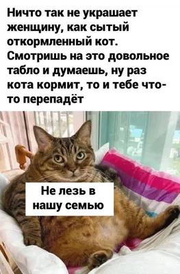 Забавные моменты: фотографии, которые поднимут настроение!