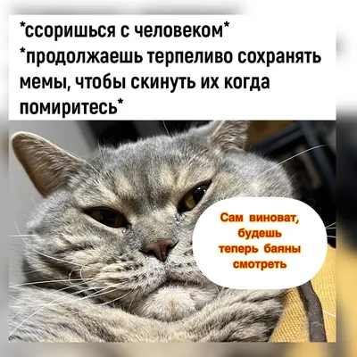 Смешные картинки холодно - смешные картинки в формате JPG, PNG, WebP