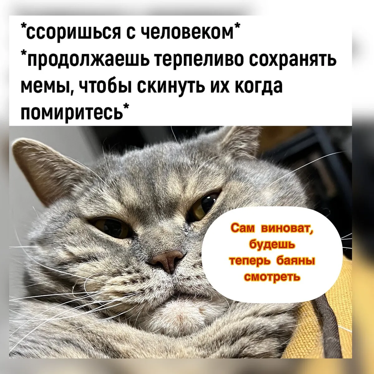 Забавные моменты, которые происходят, когда на улице холодно | Смешные  картинки холодно Фото №2570488 скачать