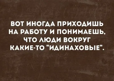 Смешные картинки для хорошего настроения. Выбери размер изображения и формат для скачивания: JPG, PNG, WebP