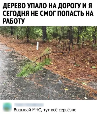 Фотографии смешные jpg