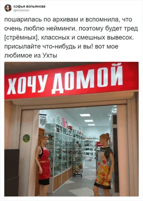 Уникальные фотографии, чтобы поднять настроение