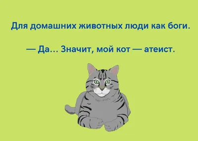 Смешные изображения котов в формате JPG