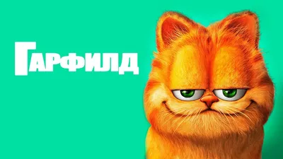 Изображения котов и кошек для скачивания